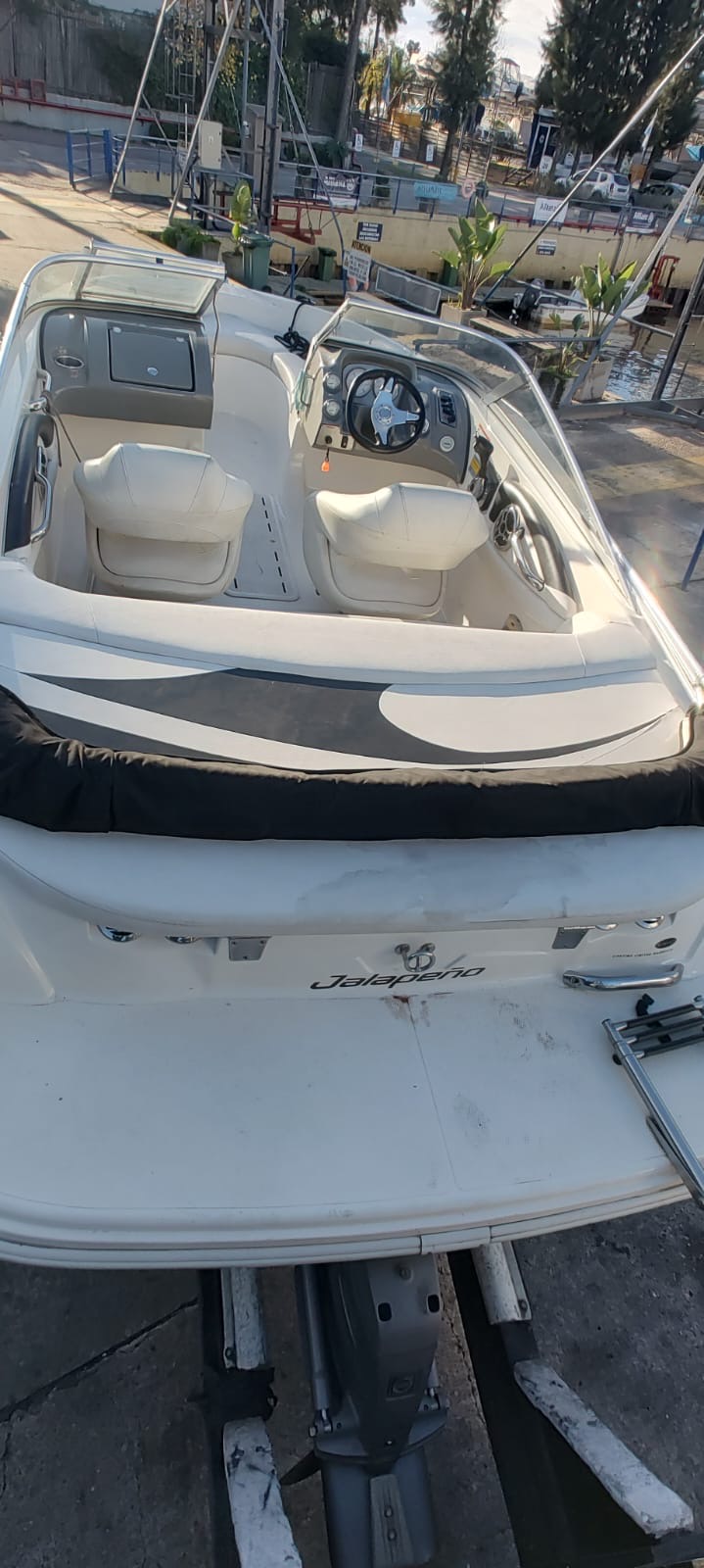 Larsson 18 2010 Volvo 190 hp sx